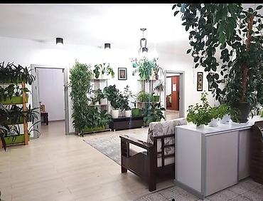 Долгосрочная аренда квартир: 4 комнаты, Риэлтор, Без подселения, С мебелью полностью — 5