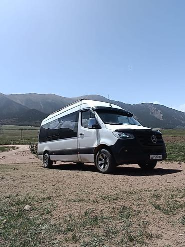 штора на спринтер: Пассажирские перевозки на комфортном микроавтобусе (тип Mercedes — 5