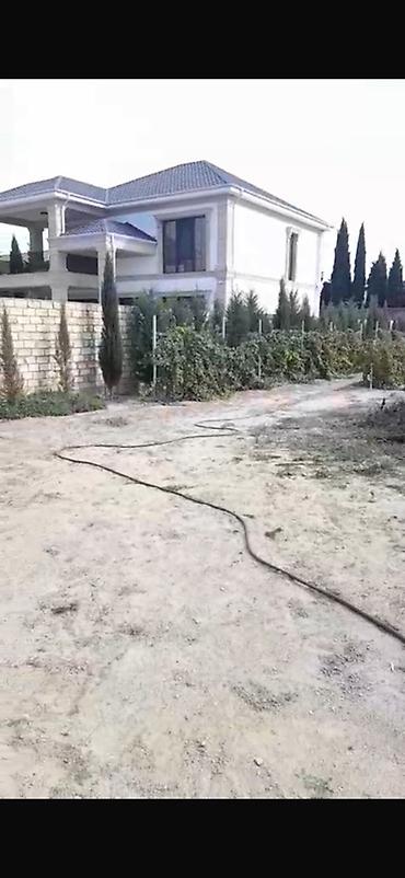topaq: Kənd təsərrüfatı, Maklerlər narahat etməsin, Kupça (Çıxarış) — 1