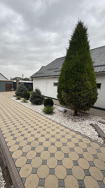 Продажа коттеджей и домов: 🏡 Продаётся дом с евроремонтом 📍 Район: ж/м Ак-Орго 🏠 Площадь дома — 6