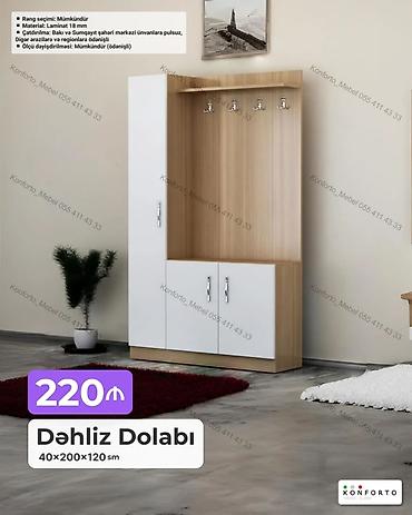 Mebel: Dəhliz dolabı – 40×200×120 sm - Material: 18 mm laminat - Rəng — 1