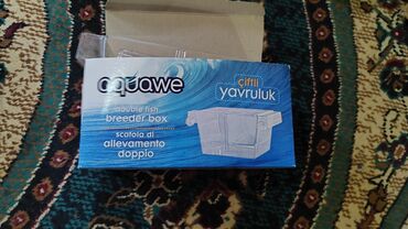 Akvariumlar: Dördbucaq akvarium, Balıqlarla birlikdə, 120 l, Ünvandan götürmə, Ödənişli çatdırılma, Rayonlara çatdırılma -da lalafo.az — 7 Akvariumlar: Dördbucaq akvarium, Balıqlarla birlikdə, 120 l, Ünvandan götürmə, Ödənişli çatdırılma, Rayonlara çatdırılma — 7