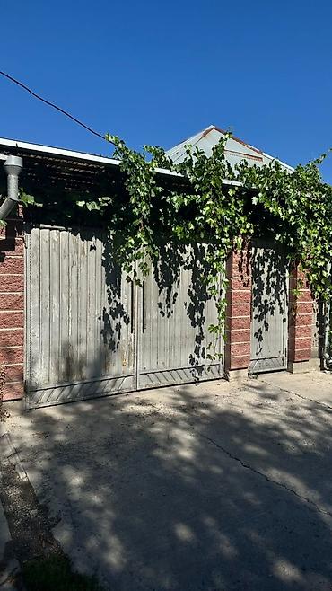 Покраска: На масляной основе, Больше 6 лет опыта — 13