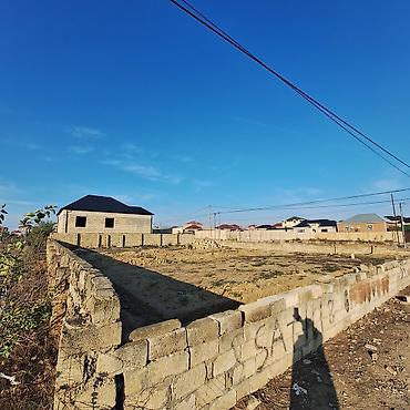 Torpaq: 1 sot, Kənd təsərrüfatı, Mülkiyyətçi, Kupça (Çıxarış) — 3
