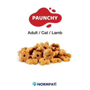 Зоотовары: Сухой корм для кошек,котят, стерильных котов и кошек. Производство at lalafo.kg — 17 Зоотовары: Сухой корм для кошек,котят, стерильных котов и кошек. Производство — 17