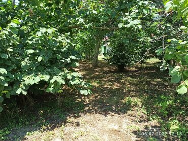 Bağ evlərinin satışı: Nabranda çox qözel menzerede hem denize yaxın hemde meşenin kenarında — 12