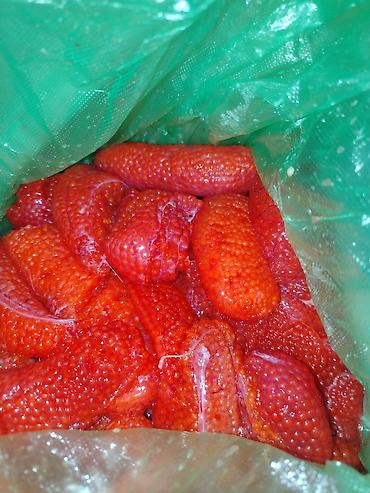 мороженое морозильник: Куплю Икру форели в ястыках — 2
