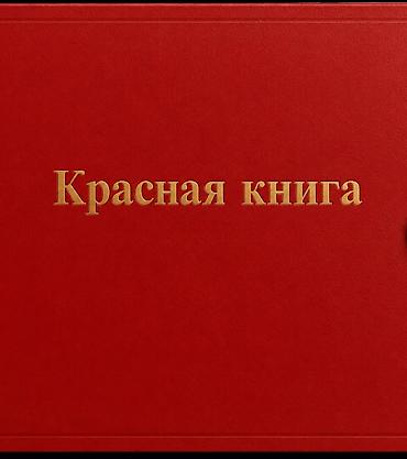 тонский: 25 соток — 1