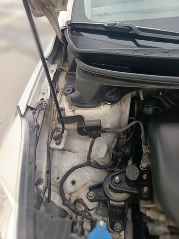 Hyundai: Hyundai Elantra: 1.8 l | 2011 il Sedan — 7