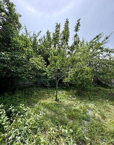 Продажа дач: 🏡🔥 ПРОДАЁТСЯ ДАЧА В ТАШ-МОЙНОКЕ! ДТ: «Мичуринец» 🌿 💥 Участок — 6 — 5