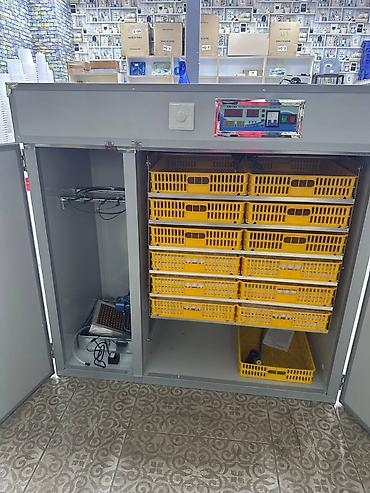 Товары и оборудование для с/х животных: Инкубатор Промышленный 352 жумуртка полынй автомат . Инкубатор 1056 — 11