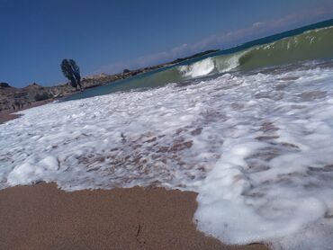 дом ак ордо аренда: 5 соток, Для строительства, Красная книга