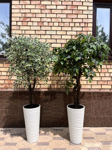 Декоративные цветы: Искусственные деревья — это идеальное решение для оформления интерьера at lalafo.kg — 19 Декоративные цветы: Искусственные деревья — это идеальное решение для оформления интерьера — 19