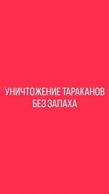 Дезинфекция, дезинсекция: Дезинфекция, дезинсекция | Тараканы | Квартиры, Дома, Офисы