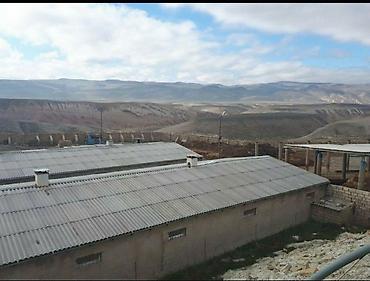 Продажа коммерческой недвижимости: Ferma/sənaye təsərrüfatı obyekti - Geniş əraziyə malik qapalı və — 4