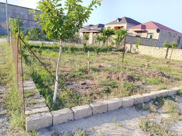 Torpaq sahələrinin satışı: 5 sot, Tikinti, Mülkiyyətçi, Bələdiyyə -da lalafo.az — 5 Torpaq sahələrinin satışı: 5 sot, Tikinti, Mülkiyyətçi, Bələdiyyə — 5