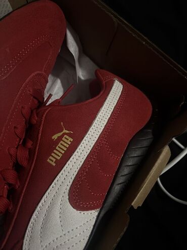 женская обувь и одежда: Кроссовки, 39.5, 40, Puma, Новый, Платная доставка, Бесплатная доставка