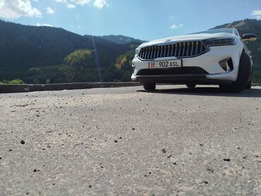 подкрыльник киа к5: Kia K7: 2020 г., 0.3 - engine capacity л, Автомат, Газ, Седан