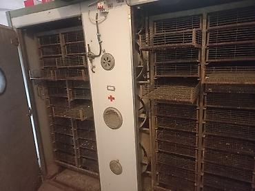 Инкубаторы: Промышленный инкубаторный комплекс для птицеводства. - Камерный — 8