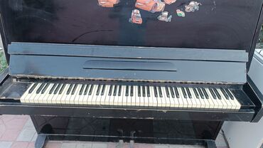 Gitaralar: Piano, Akai, Akustik, İşlənmiş, Ünvandan götürmə