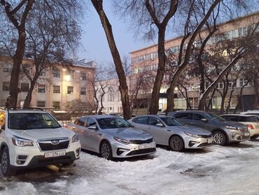 Частная аренда авто: Прокат авто аренда авто трансфер авто без водителя аренда авто — 6