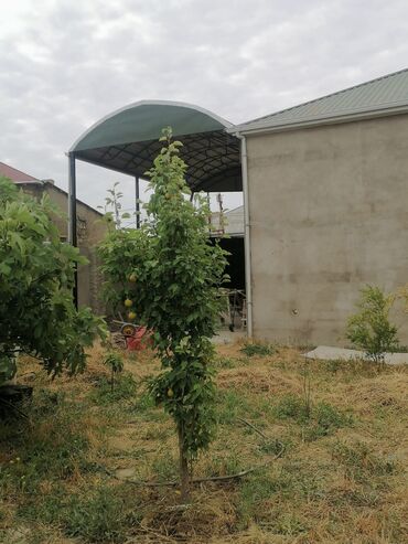 Həyət evləri və villaların satışı: Təci̇li̇ satilir ünvan : saray əkin təyinatlı çıxarış evin ümumi -da lalafo.az — 6 Həyət evləri və villaların satışı: Təci̇li̇ satilir ünvan : saray əkin təyinatlı çıxarış evin ümumi — 6