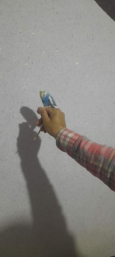 Tutuquşları: Ələ öyrəşmiş quşdu kim isdəsə videolarınıda ataram baxar — 9