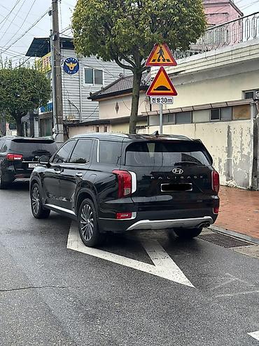 avalon 2017: Hyundai Palisade: 2021 г., Кроссовер — 4