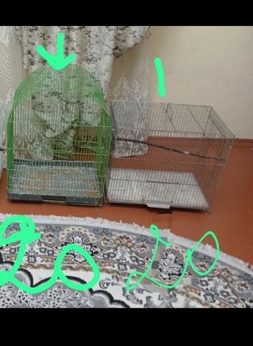 дрессировка собак в баку: Quş qəfəsləri və aksesuarları - Dəst 1: Qəfəs + yuva + su qabı + at lalafo.az дрессировка собак в баку: Quş qəfəsləri və aksesuarları - Dəst 1: Qəfəs + yuva + su qabı +