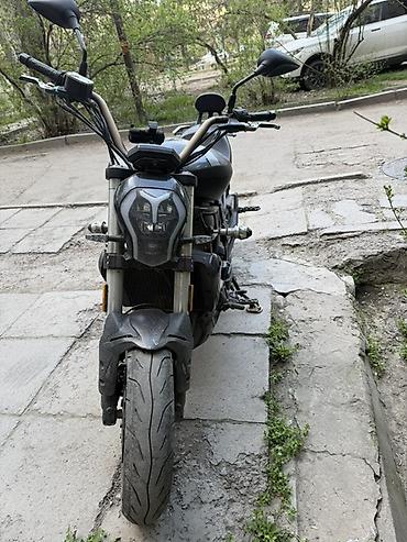 bennali diablo: Классический мотоцикл 500 куб. см, Бензин, Б/у — 4