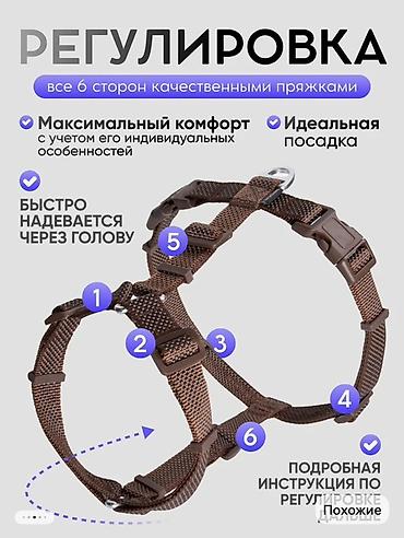 чихуаху: Шлейка для собак с фурнитурой из авиационного алюминия(покупали для — 2