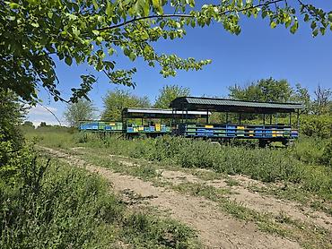 tap az 011: Köçəri arıxana platformaları – metal konstruksiyalı, dam örtüklü — 1