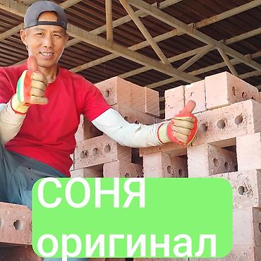 купить ягоды: Пустотелый, дырчатый, Жженый кирпич, Полублок, 250×120×90 — 1