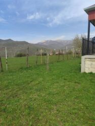 Günlük kirayə mənzillər: 2 otaqlı — 22