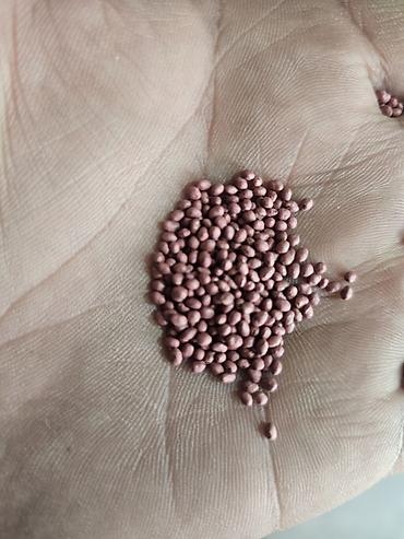 Корма для с/х животных: Силос, буудай, беде спарцет арпа урук та бар сатылат. Сапаты жакшы — 10