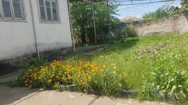 Həyət evləri və villaların satışı: 5 otaqlı, 180 kv. m, Kredit yoxdur, Orta təmir — 14