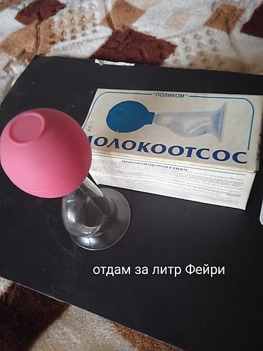 Отдам даром: Отдам каждую за стиральный порошок.Уточняйте!Самовывоз мкр Асанбай дом — 7