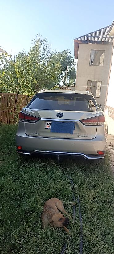 e6 3: Lexus RX: 2019 г., Гибрид, Кроссовер — 2