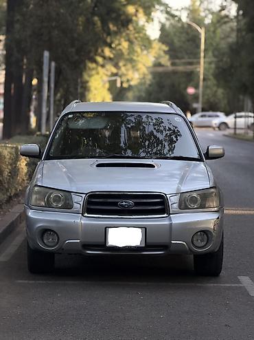 продажа форестер: Subaru Forester: 2003 г., 2 л — 1