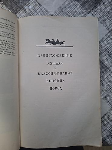Другие книги и журналы: Продаю редкую книгу про лощадей разных стран. Тираж-25тыс .экз. Год — 11