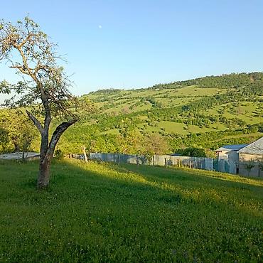 Torpaq sahələrinin satışı: Tikinti — 6