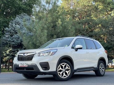 срочно продать машину: Subaru Forester: 2019 г., 2.5 л, Типтроник, Бензин, Внедорожник