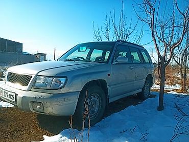 Subaru: Subaru Forester: 1999 г., Бензин, Универсал — 4