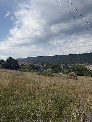qebelede torpaq satisi: Tikinti — 3