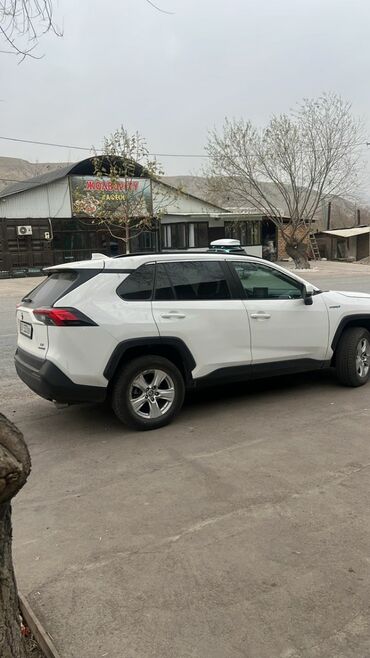 Toyota: Toyota RAV4: 2019 г., Гибрид, Кроссовер — 3