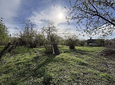 pirşaği torpaq: Tikinti, Mülkiyyətçi, Kupça (Çıxarış) — 5