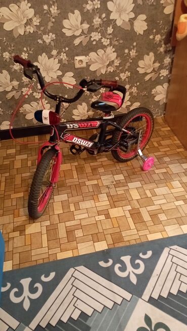 красный женьшень: Велосипеддер