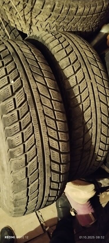 колесо для газ 53: Шины 195 / 65 / R 15, Зима, Б/у, Пара, Легковые, Belshyna