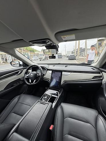 Weltmeister: Weltmeister EX5, 2020 г. — 9