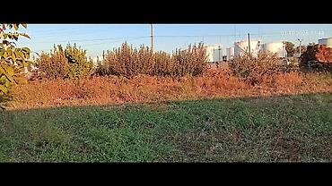 Үйлөрдү сатуу: Участок с домом и хозяйственными постройками продаю дом участок8 сотик — 3